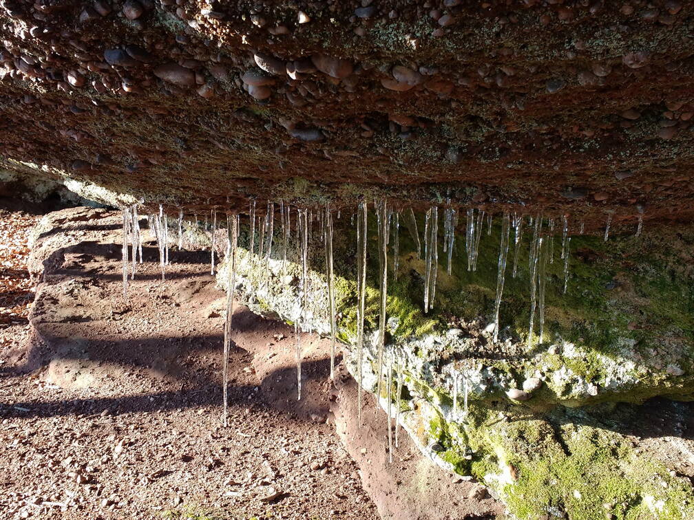 IMG 20190119 114207273